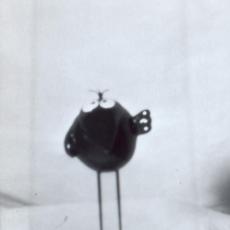 Shadok, face, tirage, sténopé, 1999.